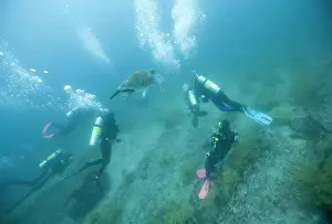 Ecuador Prints: Ecuador, Galapagos Islands National Park