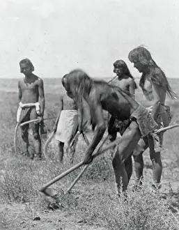 Archival Indians Prints: Edward S. Curtis Native American Indians - Group of Hopi Indians using hoes to dig out snakes ca