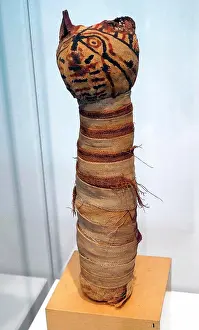 Egyptian Prints: Egyptian mummified cat. Late Period-Ptolemaic Period (715-30 B)
