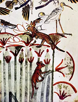 Reeds Prints: Egyptian tomb wall painting from Thebes, Luxor. Dated 11th Century BC