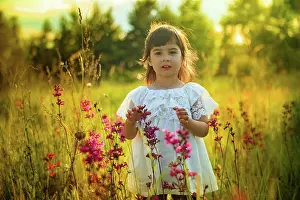 Schoen Prints: Ein kleines Mädchen im weißen Kleid steht allein im warmen Sonnenlicht in einem blühenden Feld A little cute girl