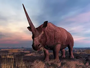 Extinct Prints: An Elasmotherium grazes on the ancient steppe of what is today Southern Russia