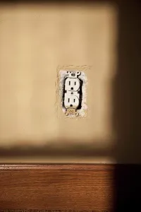 Do It Yourself Prints: Electrical outlet without cover