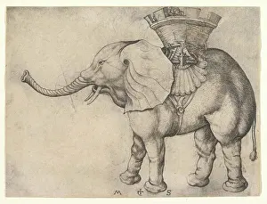 Prints: The Elephant ca. 1435-1491 Martin Schongauer German