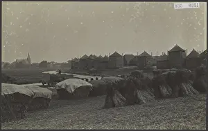 Elsevier Prints: Elsevier photo collection. Genemuiden. Haypets cornstuffs. July 1931. Genemuiden