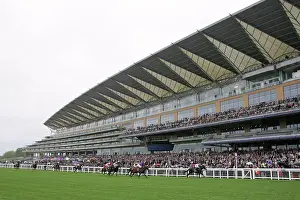 Occasion Prints: England, Berkshire, Ascot. Crowds watching thoroughbred horse racing at Ascot