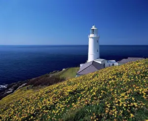 Maritime Prints: England, Cornwall, Trevose Head