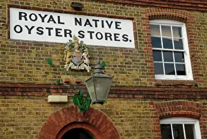 Kent Prints: England, Kent, Whitstable. Exterior of the Royal Native Oyster Stores building now The Fish restaurant