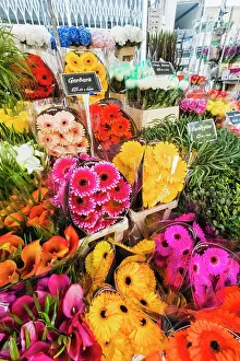 Markets Prints: England, London, Columbia Road Flower Market
