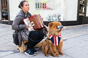 Animal S Prints: England, London, Oxford Street, Female Street Musician and Dog
