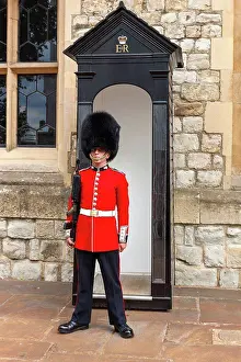 Guard Prints: England, London, Tower of London