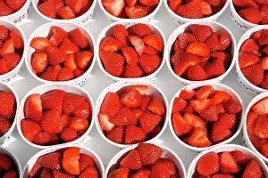 Oldest Prints: England, London, Wimbledon. Wimbledon strawberries at the Wimbledon Tennis Championships 2008