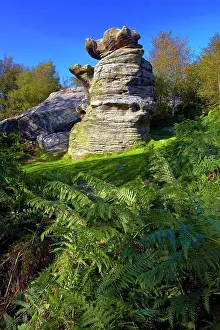 Interesting Prints: England, North Yorkshire, Brimham Rocks