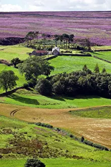 Farm Prints: England, North Yorkshire, Commondale