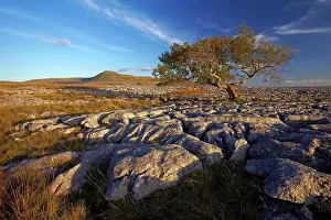 Hills Prints: England, North Yorkshire, Ingleton