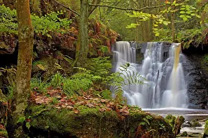 Gorge Prints: England, West Yorkshire, Harden