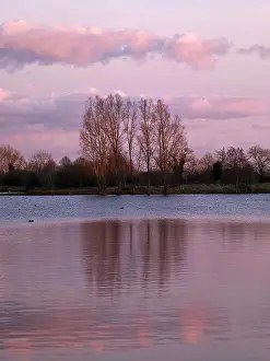 Parks Prints: England, Wiltshire, Lower Moor Farm Nature Reserve