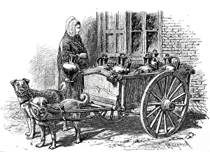 Cart Prints: Engraving depicting an Antwerp milk woman making her deliveries using a small cart pulled by dogs
