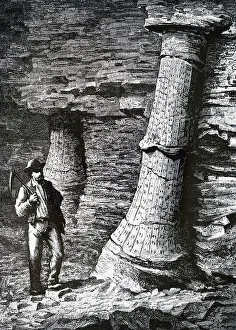 Mine Prints: An engraving depicting a fossil tree trunk in a coal mine at Treuil near St Etienne