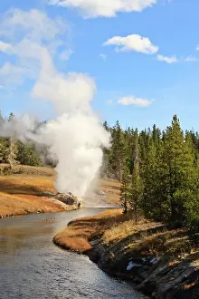 Geological Prints: Eruption of Riverside Geyser seen from Firehole River bridge