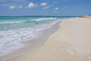 Freude Prints: Es Arenals Es Arenals, Migjorn beach