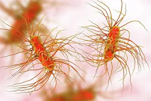 Infectious Prints: Escherichia coli bacteria, computer illustration