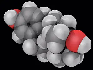 Matter Prints: Estradiol, molecular model. Sex hormone