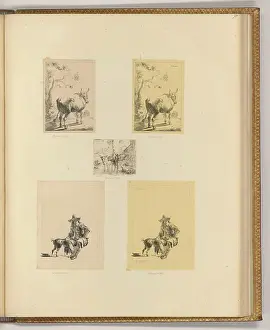 Composition Prints: Etching by Johann Adam von Bartsch (1780-1821) depicting a bull near a tree