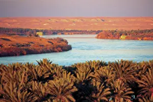 Iraq Prints: The Euphrates River, Palm Groves