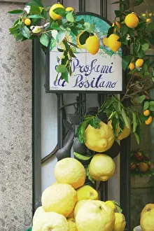 Lemon Prints: Europe, Italy, Campania (Amalfi Coast) POSITANO: Lemons