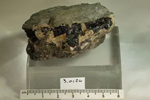 Mineral Prints: Euxenite-(Y). minerals. Europe; Norway; Tromoen