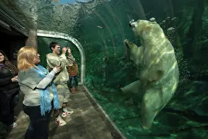 Underwater Prints: An exhibit at the Zoo and Aquarium in Columbus
