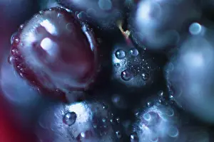 Fullframe Prints: Extreme close-up of blackberry fruit