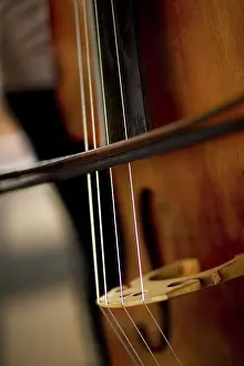 Instrument Prints: Extreme close-up of a double bass