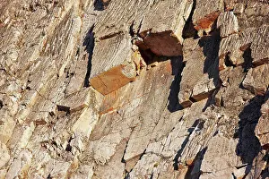 Wyoming Prints: Detail of face of cliff, showing joints (cracks) and blocks of rock