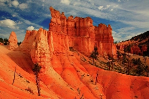 Utah Prints: Fairyland Loop Trail Hoodoos in Bryce Canyon, Bryce Canyon National Park, Utah, USA