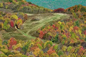 Nopeople Prints: Fall color below Max Patch taken from the Appalachian Trail, Hot Springs, North Carolina