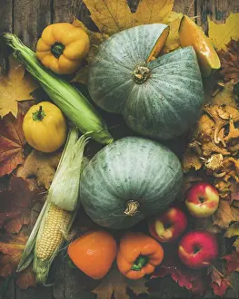 Assortment Prints: Fall colorful vegetables assortment over wooden table background