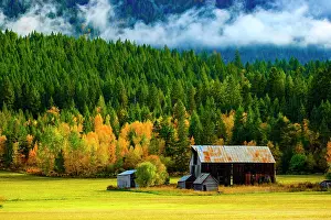 Fall Colors Prints: Fall is a lovely time in the Okanagan Valley in B.C