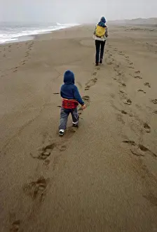 Small Group Of People Prints: Family Walking on Foggy Beach