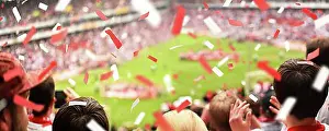 Benelux Prints: Fan Supporter Stadium Celebrating