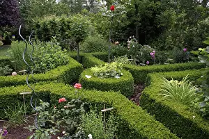 2014 Prints: Farm garden with boxwood hedge farm garden with boxwood hedges