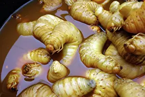 2016 Prints: fat maggots, market in myanmar selling fat maggots on market in myanmar Copyright: xZoonar