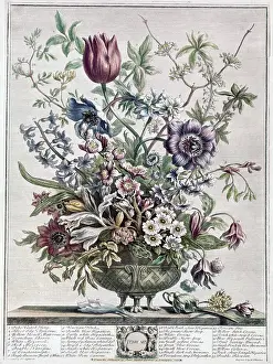 February Prints: February 1730 H. Fletcher (ca.18th C. British) Lithograph