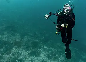 36 39 Years Old Prints: Female diver with underwater camera in Raja Ampat / Indonesia