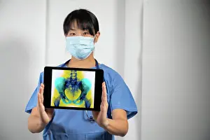 Radiography Prints: Female doctor holding a screen with x-ray of the pelvis