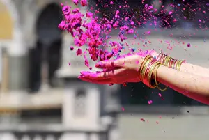 Holi Prints: A female hand full of Holi colours during Holi festival ; Bombay Mumbai ; Maharashtra ; India
