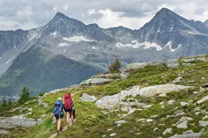 Backpacker Prints: Two female hikers with black dog on Abbott Ridge Trail