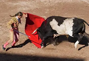 Mexico Prints: The female matador RAQUEL SANCHEZ fights a bull in the Plaza de Toros - SAN MIGUEL DE ALLENDE