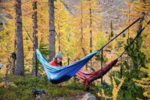 Thoughtful Prints: Female relaxing in a hammock in a forest of larches during autumn